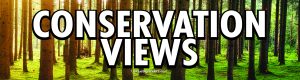 Conservation Views - Previous Design
